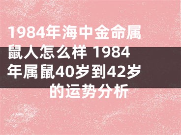 1984年海中金命属鼠人怎么样 1984年属鼠40岁到42岁的运势分析
