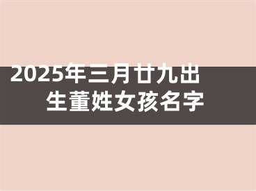 2025年三月廿九出生董姓女孩名字