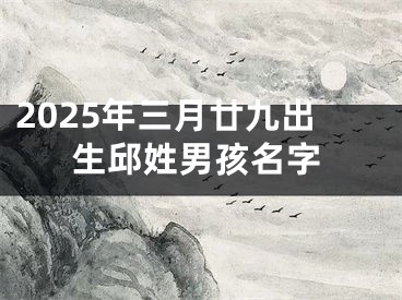 2025年三月廿九出生邱姓男孩名字