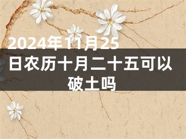 2024年11月25日农历十月二十五可以破土吗