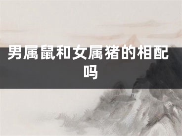 男属鼠和女属猪的相配吗