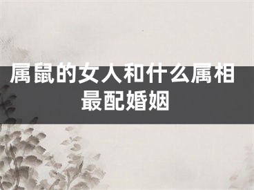 属鼠的女人和什么属相最配婚姻