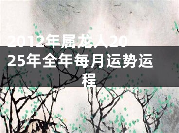 2012年属龙人2025年全年每月运势运程