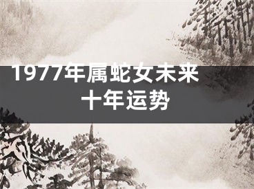 1977年属蛇女未来十年运势