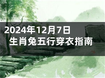 2024年12月7日生肖兔五行穿衣指南