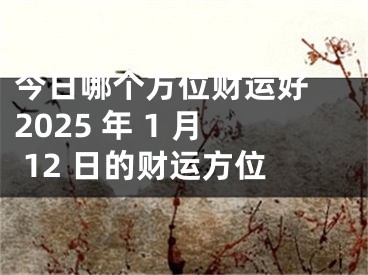 今日哪个方位财运好 2025 年 1 月 12 日的财运方位