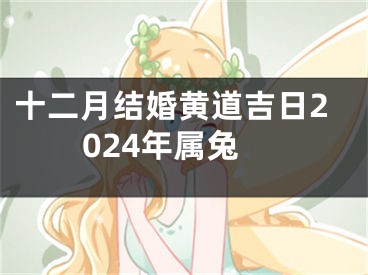 十二月结婚黄道吉日2024年属兔