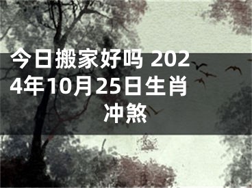 今日搬家好吗 2024年10月25日生肖冲煞