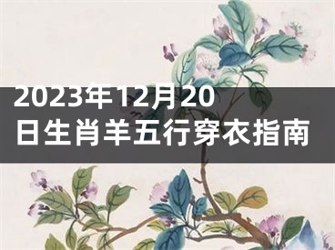 2023年12月20日生肖羊五行穿衣指南