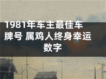 1981年车主最佳车牌号 属鸡人终身幸运数字