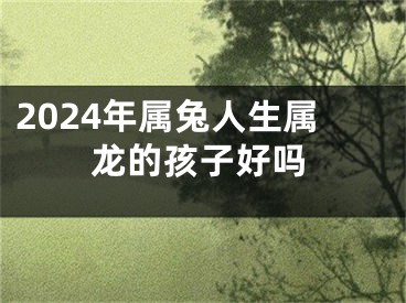 2024年属兔人生属龙的孩子好吗