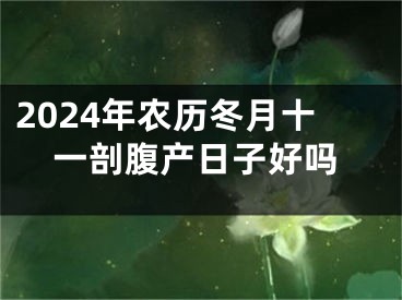 2024年农历冬月十一剖腹产日子好吗