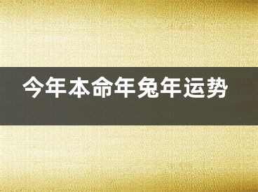今年本命年兔年运势