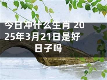 今日冲什么生肖 2025年3月21日是好日子吗 