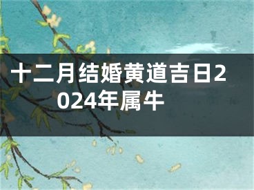 十二月结婚黄道吉日2024年属牛