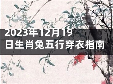 2023年12月19日生肖兔五行穿衣指南