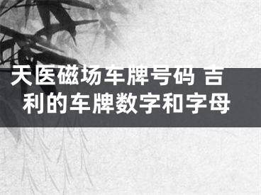 天医磁场车牌号码 吉利的车牌数字和字母
