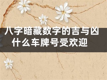 八字暗藏数字的吉与凶 什么车牌号受欢迎