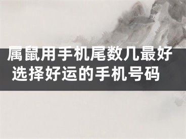 属鼠用手机尾数几最好 选择好运的手机号码