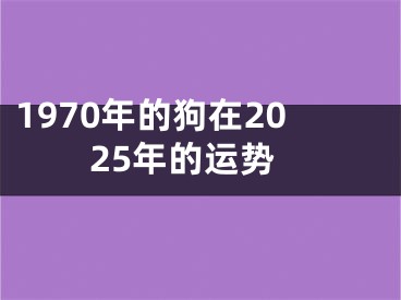 1970年的狗在2025年的运势