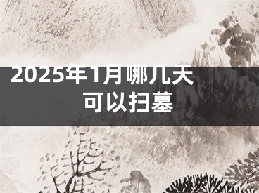2025年1月哪几天可以扫墓