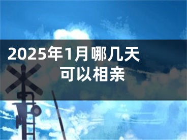 2025年1月哪几天可以相亲