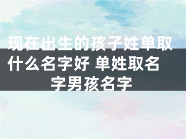 现在出生的孩子姓单取什么名字好 单姓取名字男孩名字