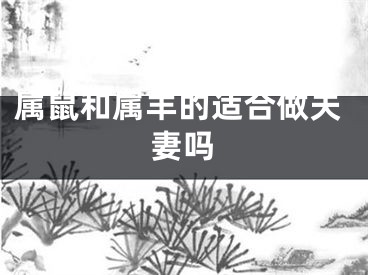 属鼠和属羊的适合做夫妻吗