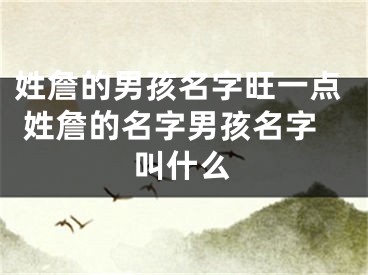 姓詹的男孩名字旺一点 姓詹的名字男孩名字叫什么