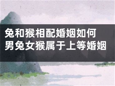 兔和猴相配婚姻如何 男兔女猴属于上等婚姻