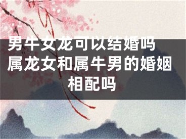 男牛女龙可以结婚吗 属龙女和属牛男的婚姻相配吗