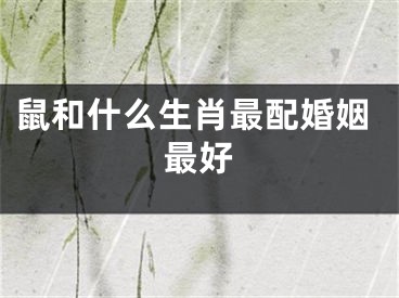 鼠和什么生肖最配婚姻最好