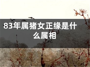 83年属猪女正缘是什么属相