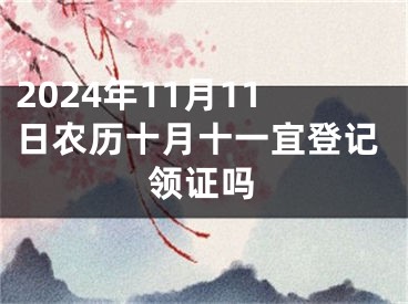 2024年11月11日农历十月十一宜登记领证吗