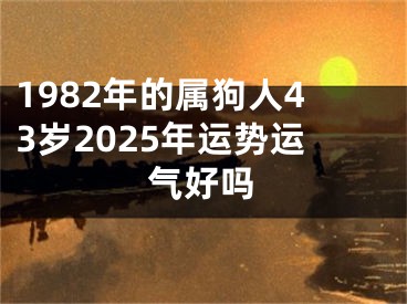 1982年的属狗人43岁2025年运势运气好吗