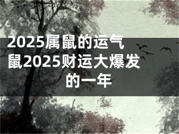 2025属鼠的运气 鼠2025财运大爆发的一年