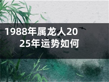1988年属龙人2025年运势如何