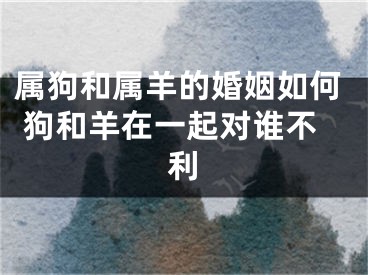 属狗和属羊的婚姻如何 狗和羊在一起对谁不利