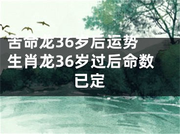 苦命龙36岁后运势 生肖龙36岁过后命数已定