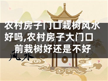 农村房子门口栽树风水好吗,农村房子大门口前栽树好还是不好