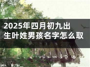 2025年四月初九出生叶姓男孩名字怎么取