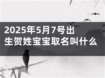 2025年5月7号出生贺姓宝宝取名叫什么