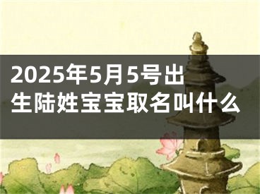 2025年5月5号出生陆姓宝宝取名叫什么