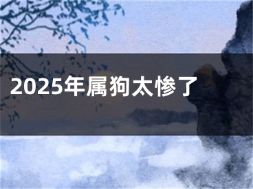 2025年属狗太惨了