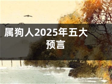 属狗人2025年五大预言