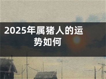 2025年属猪人的运势如何 