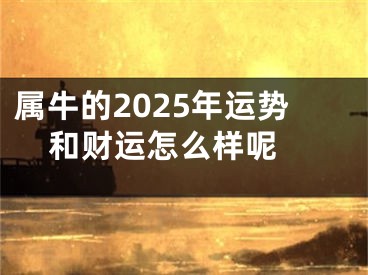 属牛的2025年运势和财运怎么样呢 
