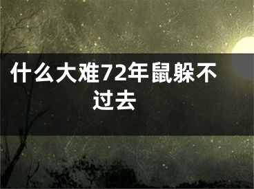 什么大难72年鼠躲不过去 