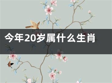 今年20岁属什么生肖