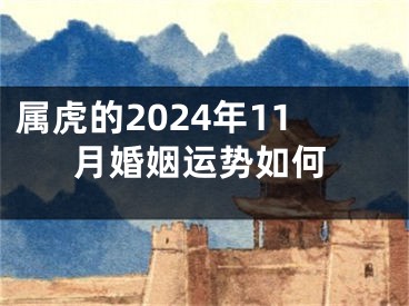 属虎的2024年11月婚姻运势如何